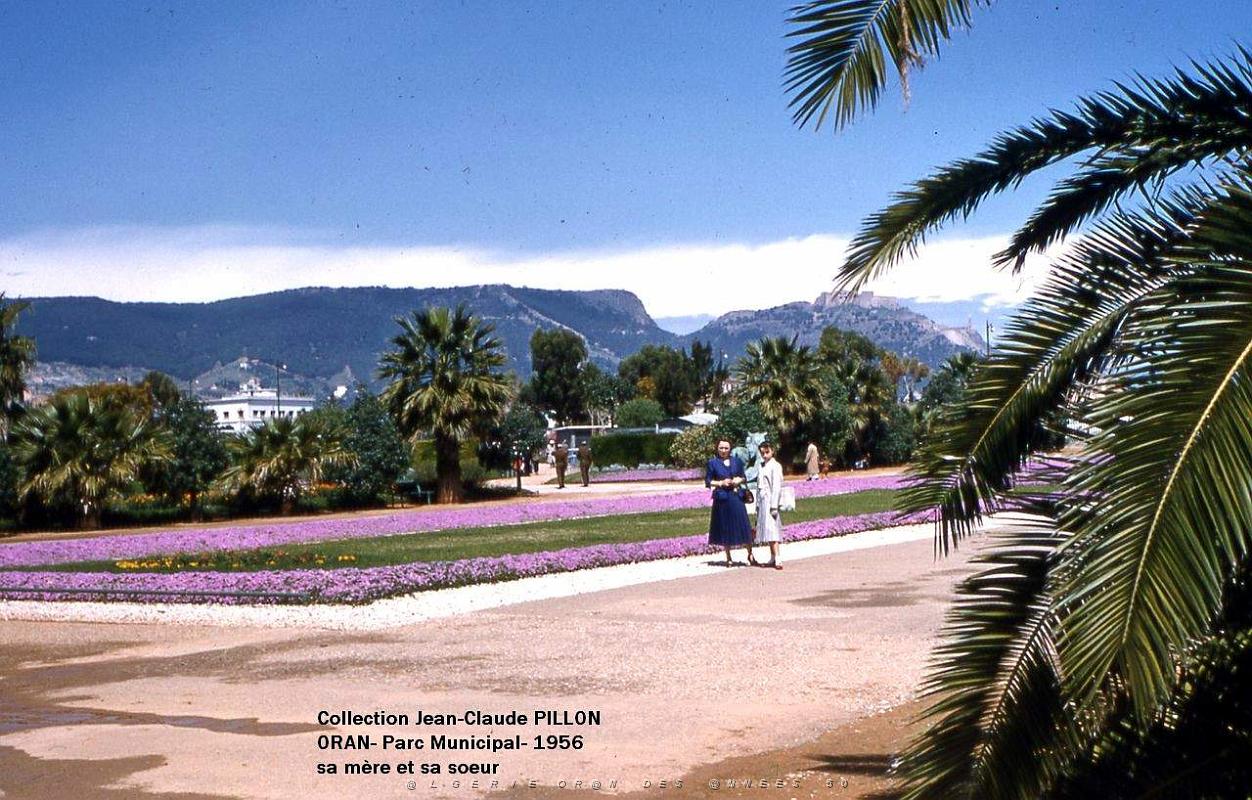 Oran- SDV- 4600- Pillon.jpg